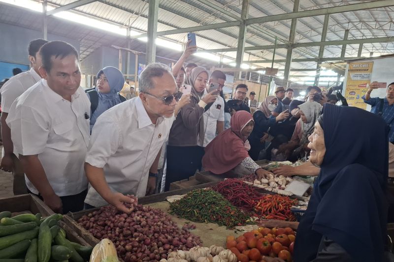 Pemerintah Jaga Stabilitas Harga Pangan untuk Lindungi Petani