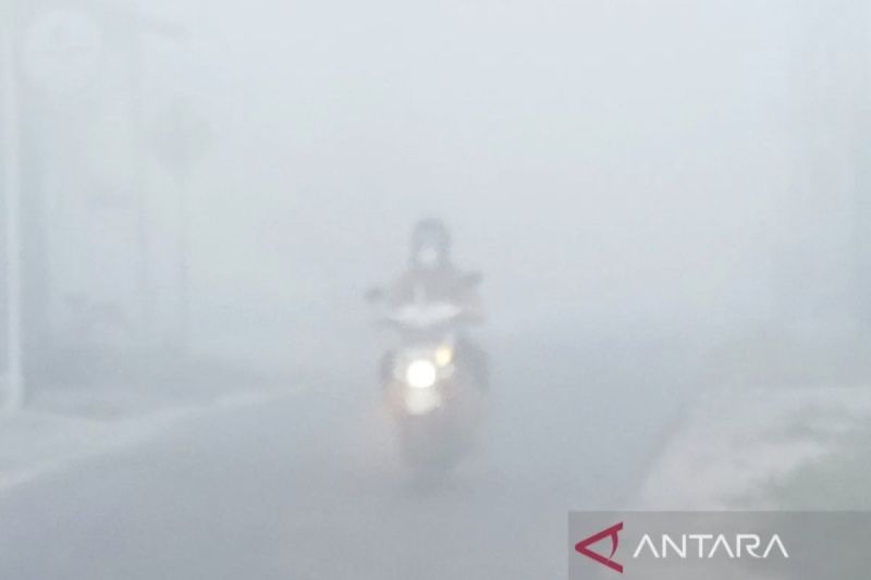 Mahasiswa Umsa Lolos Pimnas melalui Program Mitigasi Bencana