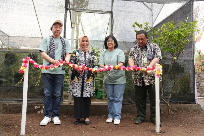 Bupati Sleman Kustini Sri Purnomo bersama Presiden Direktur PT Akashi Wahana Indonesia Noboru Matsumoto saat pengguntingan pita "Green House" Anggrek Merapi di Tunggularum, Turi, Kamis (5/9/2024). (ANTARA/HO-Bagian Prokopim Setda Sleman).