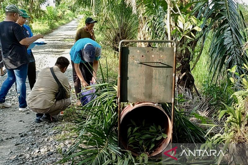 Tim Rescue BKSDA Kalsel dan masyarakat setempat menyiapkan pakan di kandang jebak satwa liar beruang madu yang muncul di permukiman warga di Desa Kuripan, Kecamatan Kuripan, Kabupaten Barito Kuala, Kalimantan Selatan, Kamis (5/9/2024). (ANTARA/HO-BKSDA Kalsel)