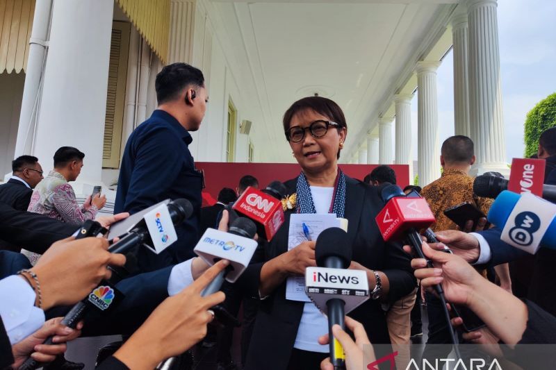 Menlu Tegaskan Tidak Ada Geng WNI di Jepang, Verifikasi Dilakukan