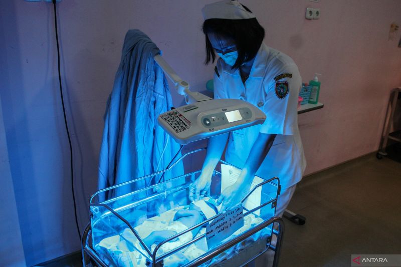 Ilustrasi - Dokter merawat bayi yang baru lahir di rumah sakit dr. Doris Sylvanus, Palangka Raya, Kalimantan Tengah, Selasa (20/8/2024). (ANTARA FOTO/Auliya Rahman/foc)