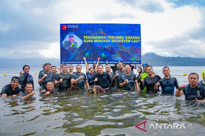 Kodam Pattimura melakukan penanaman terumbu karang di Air Salobar Ambon (ANTARA/Dedy Azis)