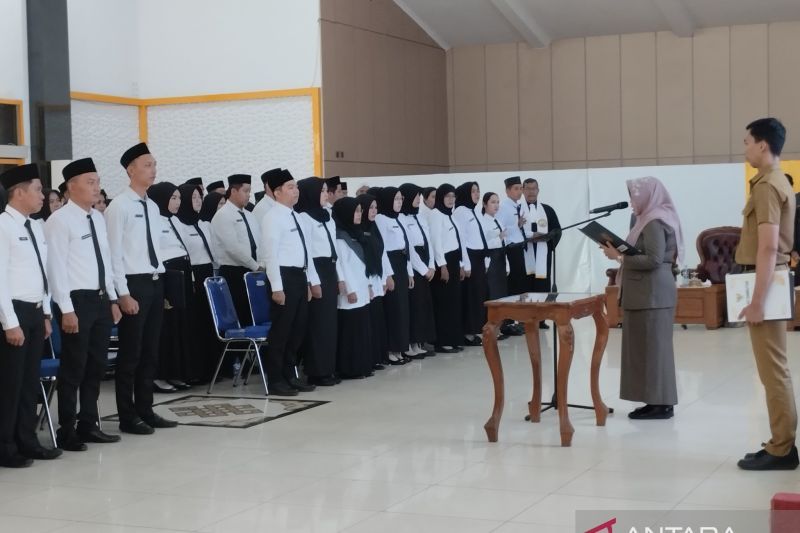 Pemerintah Kabupaten Tabalong Terima Alokasi 810 Formasi PPPK