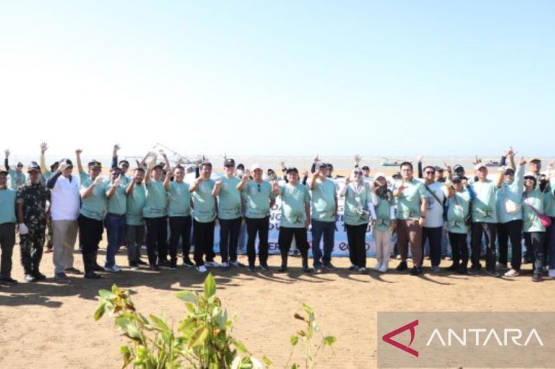 Pemerintah Jatim Lakukan Penanaman 24.000 Pohon Mangrove di Sampang