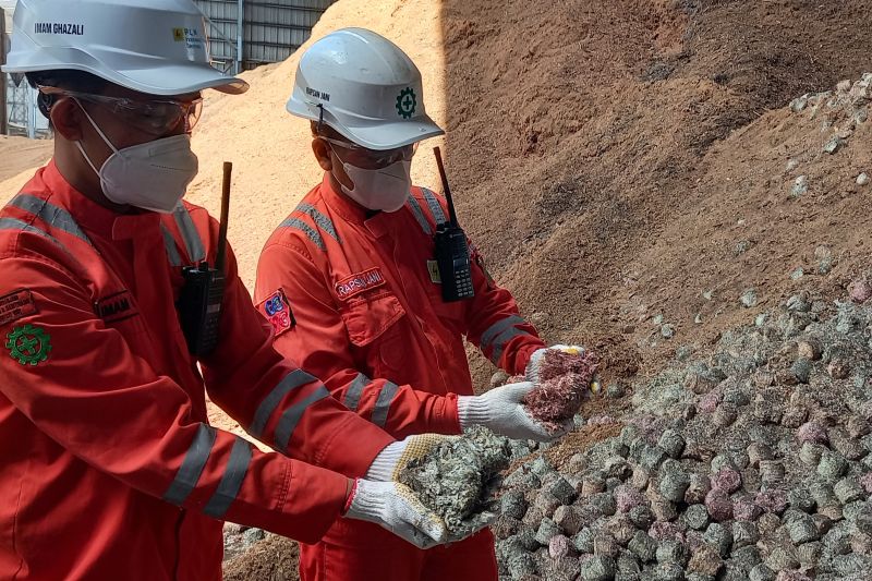 Pekerja menunjukkan biomassa dari Limbah Racik Uang Kertas (LURK) untuk cofiring pembangkit listrik di stokpile PLTU Jeranjang di Lombok, NTB, Jumat (6/9/2024). ANTARA/HO-Faisal Yunianto