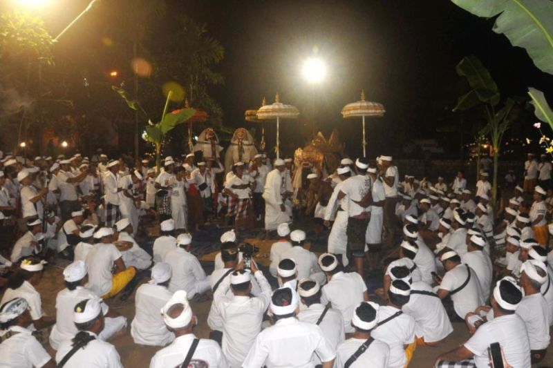 Ritual Meburu dan Mapajar di Denpasar Jadi Warisan Budaya Tak Benda