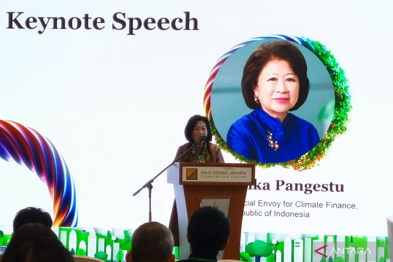 Pendanaan Campuran Dukung Negara Berkembang Transisi Energi