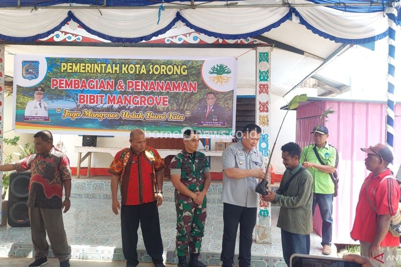 Pj Wali Kota Sorong Bernhard Rondonuwu membagikan anakan mangrove kepada masyarakat di Sorong, Kamis (5/9/2024) (ANTARA/Yuvensius Lasa Banafanu)