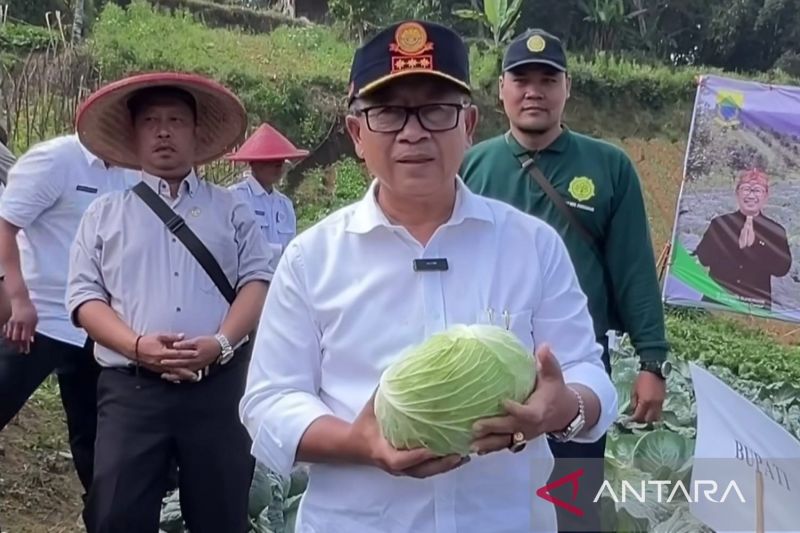 Pemerintah Cianjur Perintahkan Desa Bangun Lumbung Padi untuk Ketahanan Pangan