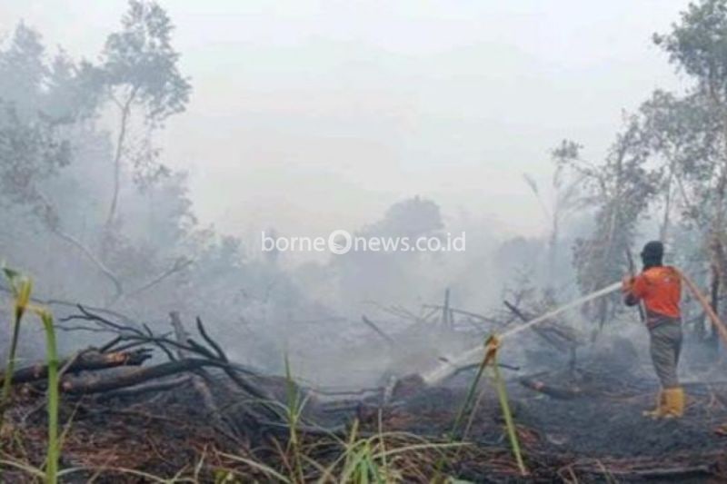 Kebakaran Hutan di Muara Enim Mencapai 53 Hektare, Upaya Pemadaman Terus Berlanjut