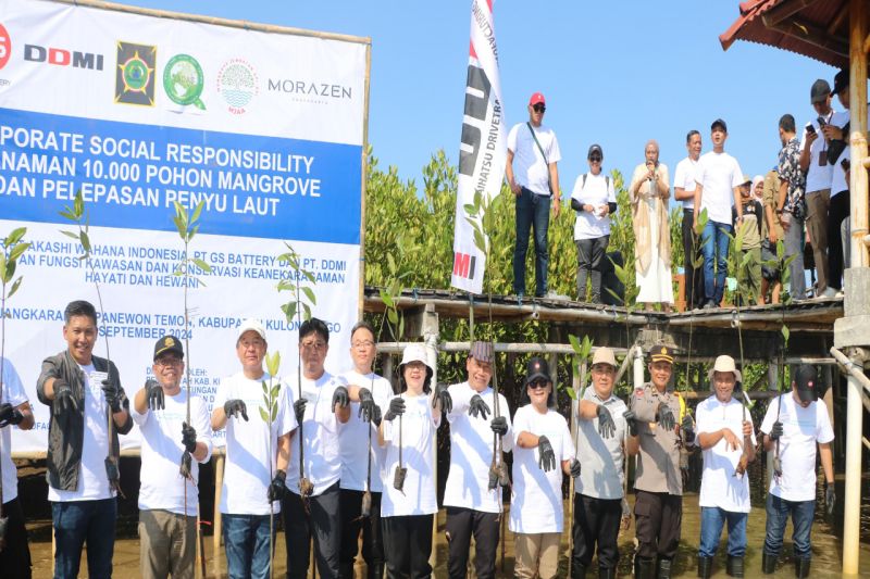 Pemerintah Kulon Progo Tanam 10.000 Mangrove untuk Ekosistem Laut