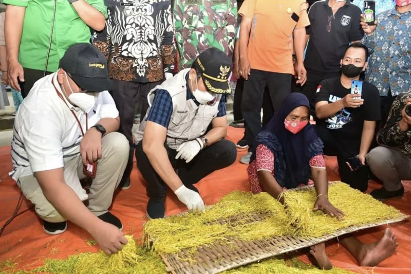 Kepala Dinas Ketahanan Pangan dan Pertanian (DKPP) Mohammad Wahyudi di Lamongan, Jawa Timur, Sabtu (7/9/2024). (ANTARA/HO-Kominfo Lamongan)