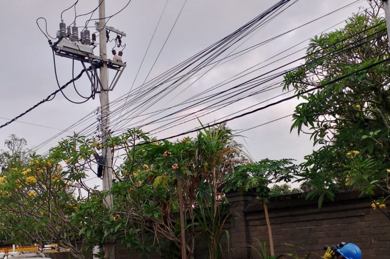 Personel PLN Unit Induk Distribusi Bali melakukan pengecekan jaringan listrik setelah gempa mengguncang Bali pada Sabtu (7/9/2024). ANTARA/HO-Humas PLN UID Bali