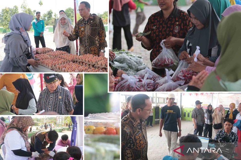 Bupati Bangka Tengah Algafry Rahman saat meninjau kegiatan GPM di Desa Kretak, Sabtu (7/9). ANTARA/Ahmadi