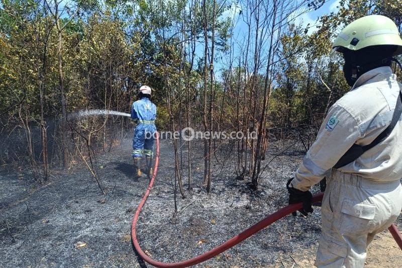 Personel UPTD Pemadam Kebakaran (Damkar) Bintan Utara, Kabupaten Bintan, Kepulauan Riau (Kepri) memadamkan karhutla di Desa Sebong Pereh, Kecamatan Teluk Sebong, Sabtu (7/9/2024). (ANTARA/Ogen)