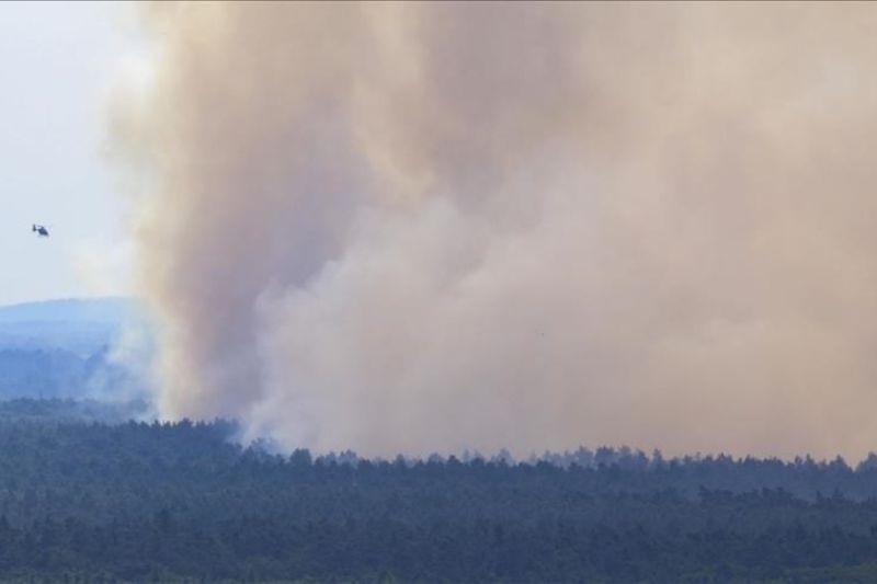 Petugas pemadam kebakaran berjibaku menangani kebakaran hutan dahsyat yang terjadi pada Jumat sore di distrik Harz, Jerman utara. /ANTARA/Anadolu/PY