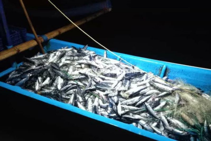 Peningkatan Konsumsi Ikan di Gunungkidul Capai 31,43 Kg per Kapita