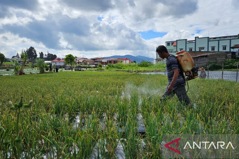 Ilustrasi areal pertanian yang menggunakan pompa air untuk mengatasi krisis air. Antara/ Suriani Mappong