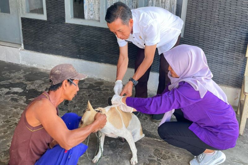 Kegiatan vaksinasi HPR oleh petugas kesehatan hewan Distankan Rejang Lebong di Kelurahan Air Bang, Kecamatan Curup Tengah. (ANTARA/HO-Distankan Rejang Lebong)