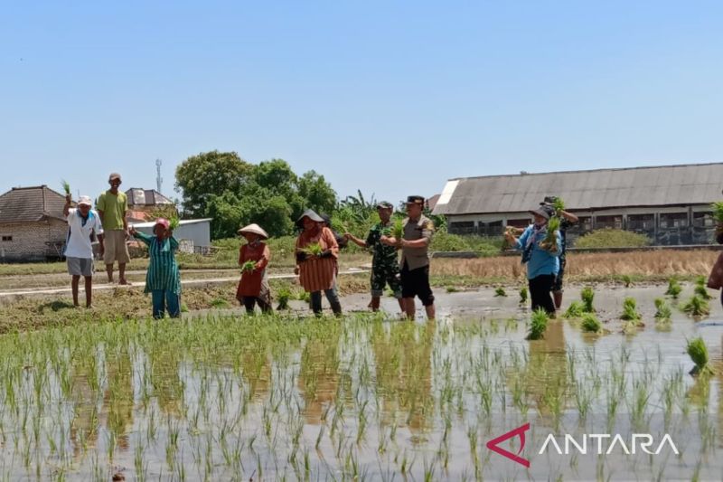 Pemkab Bangkalan Salurkan Ratusan Pompa Air untuk Petani