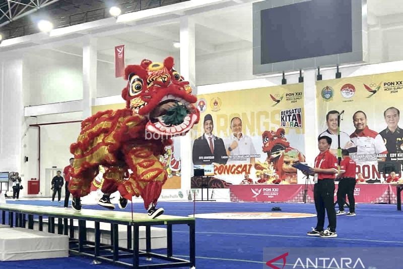 Penampilan cabang olahraga barongsai nomor Barongsai Kecepatan di Martial Arts Arena, Kompleks Sumut Sport Center, Deli Serdang, Sumatera Utara, Minggu (8/9/2024). ANTARA/Harianto.