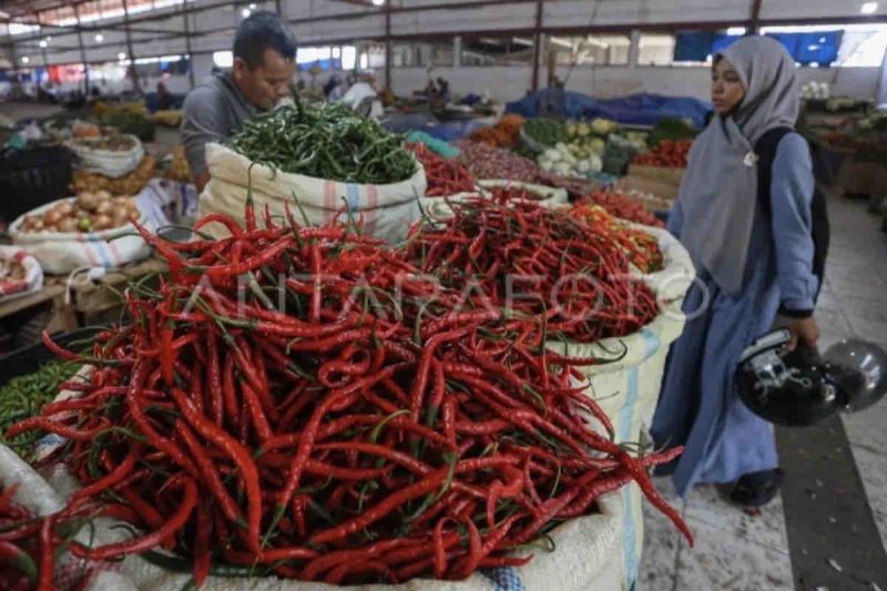 Kenaikan Harga Pangan di Jakarta, Cabai Merah Capai Rp41.000/kg