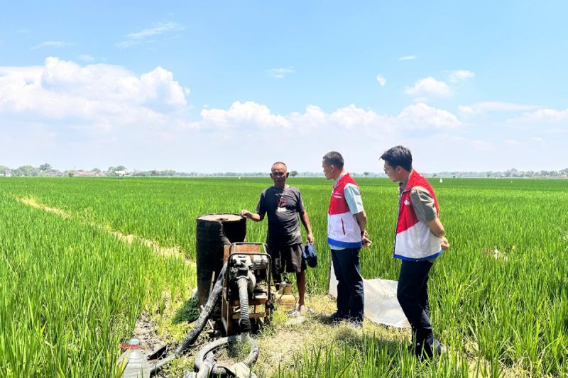 Pertamina Tambah Pasokan Elpiji Subsidi di Solo Raya, Hindari Panic Buying