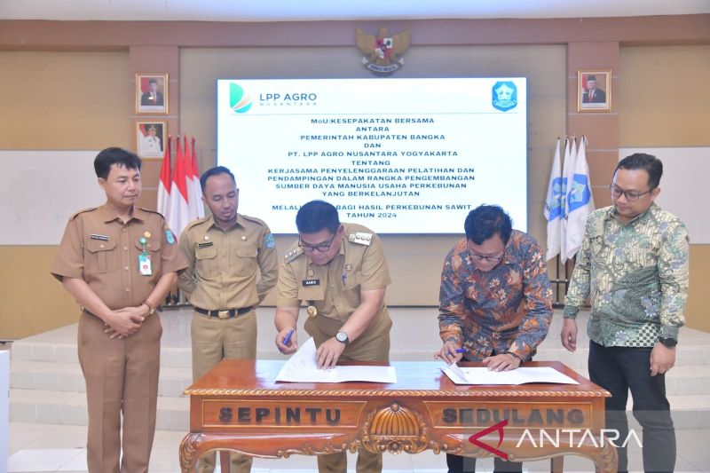 Pemerintah Bangka Tingkatkan SDM untuk Perkebunan Kelapa Sawit