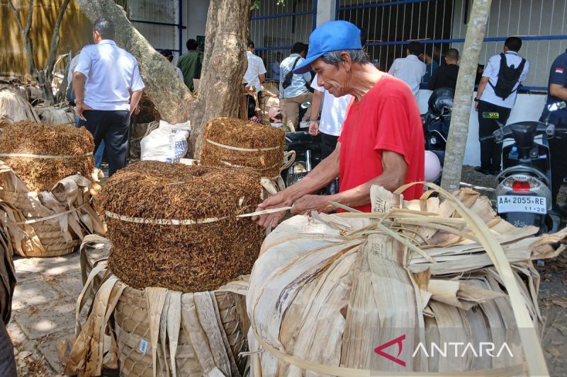 Aktivitas salah satu gudang tembakau di Temanggung. (ANTARA/Heru Suyitno)