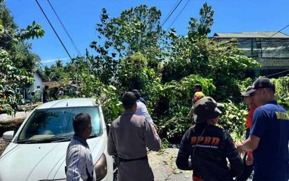 Pohon Tumbang Timpa Mobil di Jalan Kawitan II dan 2 Orang Dilarikan ke RSUD Sultan Imanuddin