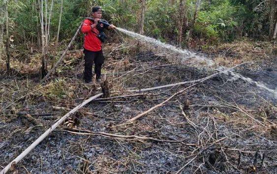 32,12 Hektare Lahan Terbakar di Palangka Raya Akibat Karhutla