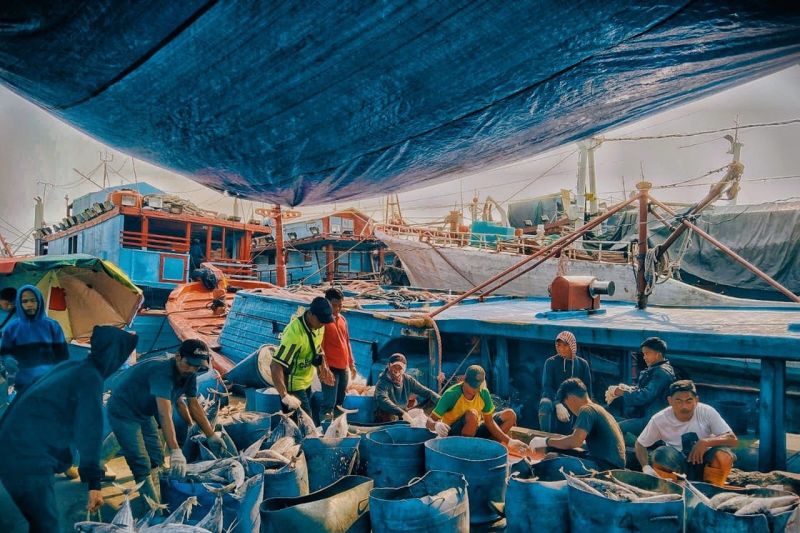 Nelayan mitra PT Perikanan Indonesia (ANTARA/HO-Perikanan Indonesia)