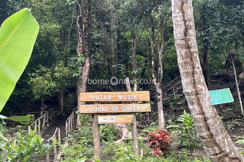 Transformasi Hutan Amahusu Menjadi Destinasi Musik Ramah Lingkungan