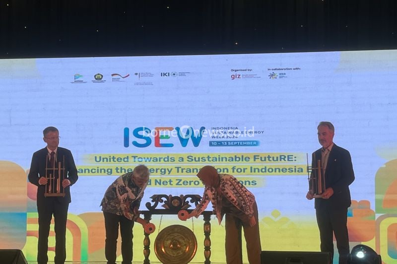 Kolaborasi Internasional Diperlukan untuk Optimalisasi Energi Terbarukan Indonesia