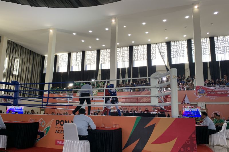 Pertandingan final cabang olahraga muaythai PON XXI Aceh-Sumut 2024 di Bale Meuseuraya Aceh, Selasa (10/9/2024).ANTARA/Mario Sofia Nasution
