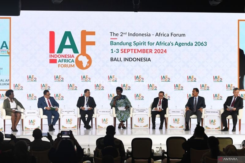 Upaya Indonesia dan Negara Afrika Wujudkan Ketahanan Pangan
