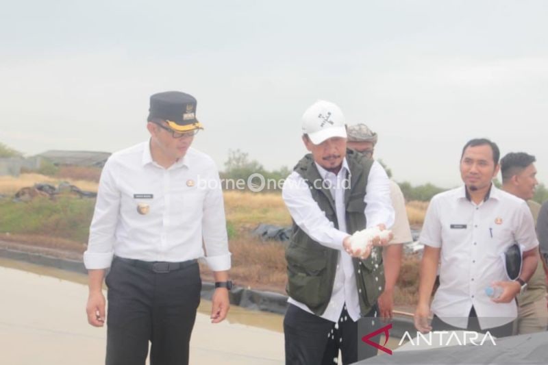 Pemkab Cirebon Kembangkan Produksi Garam untuk Kebutuhan Industri