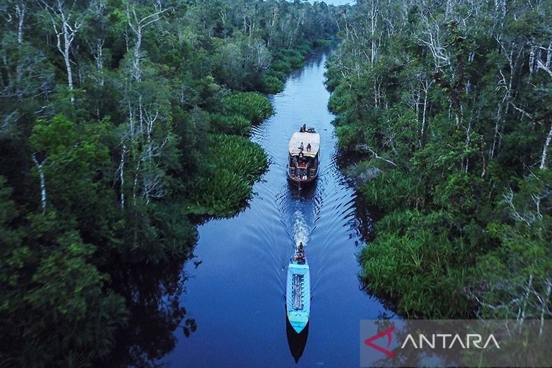 Teknologi dan Inovasi Dukung Kinerja Industri Kehutanan Nasional