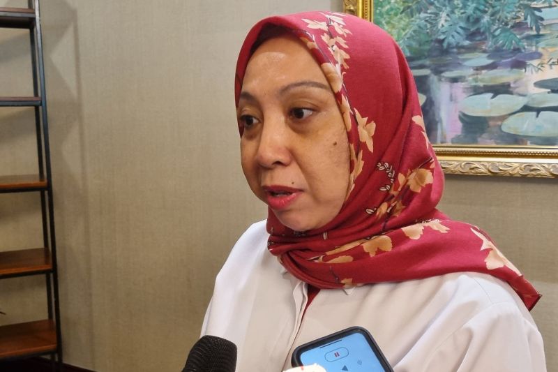 Deputi Bidang Perlindungan Hak Perempuan Kementerian Pemberdayaan Perempuan dan Perlindungan Anak Ratna Susianawati. ANTARA/Anita Permata Dewi