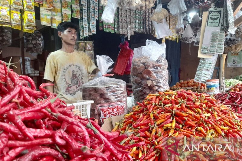 Penurunan Harga Cabai dan Bahan Pokok di Kota Serang 2024