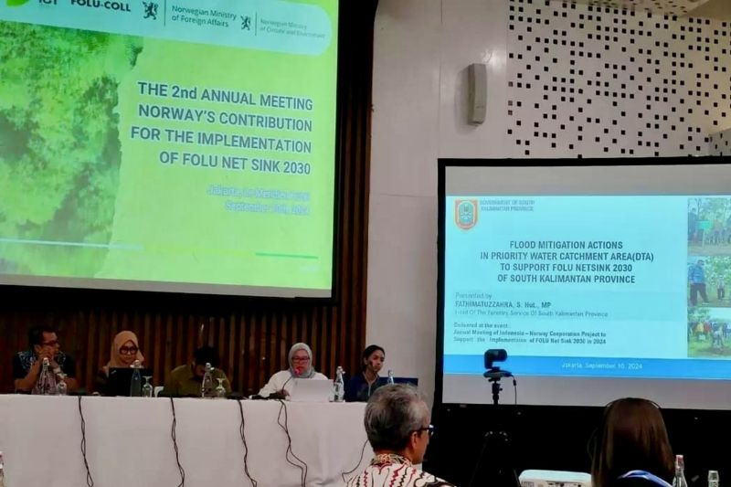 Kepala Dinas Kehutanan Provinsi Kalimantan Selatan (Kalsel) Fathimatuzzahra (keempat kiri) memaparkan kesiapan daerah untuk mendukung implementasi FOLU Net Sink 2030 dalam pertemuan tahunan proyek kerja sama antara Indonesia dan Norwegia yang berlangsung di Jakarta, Selasa (10/9/2024). ANTARA/HO-Pemprov Kalsel