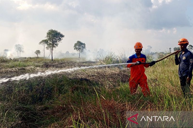 Upaya BPBD Kalsel untuk Atasi Karhutla di Banjarbaru