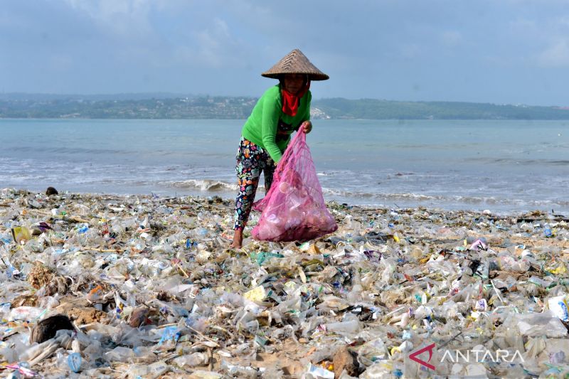 Ilstrasi: Warga memungut sampah plastik di kawasan Pantai Kedonganan, Badung, Bali, Rabu (20/3/2024). Pantai Kedonganan dipadati sampah plastik kiriman yang terdampar terbawa arus laut yang mengganggu aktivitas warga dan nelayan setempat. ANTARA FOTO/Fikri Yusuf/wpa.
