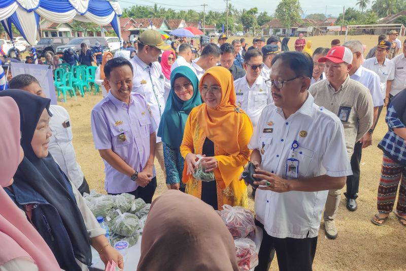 Pemerintah Pesisir Barat Galakkan Gerakan Pangan Murah untuk Stabilitas Harga