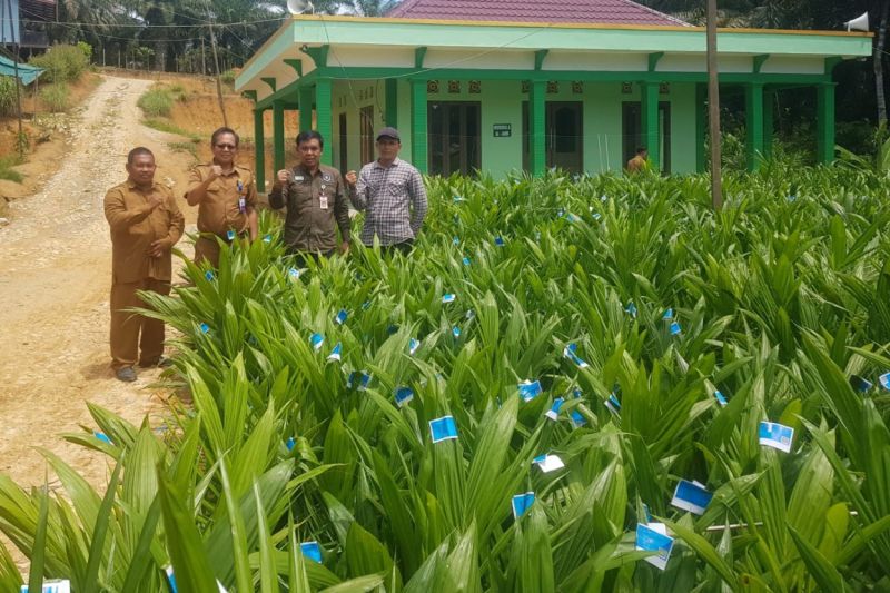 Dinas Perkebunan Kaltim Berikan Bantuan untuk Tingkatkan Produktivitas Perkebunan