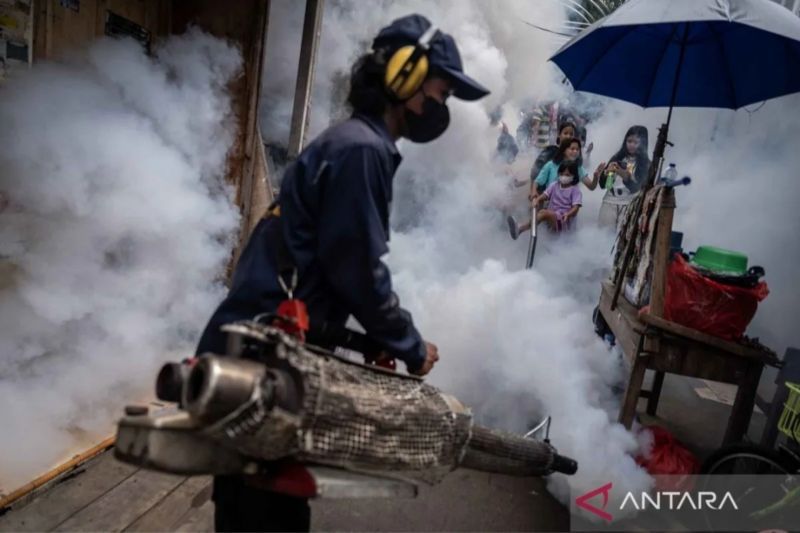 Jakarta Perpanjang Pelepasan Nyamuk Wolbachia Untuk Kendalikan Demam Berdarah
