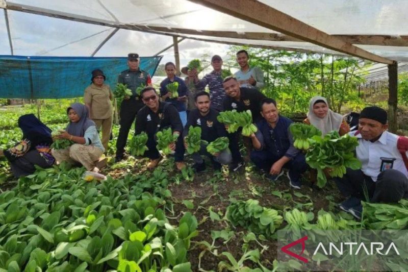Pembentukan Kelompok Tani di Ambon, Dukung Produktivitas Petani