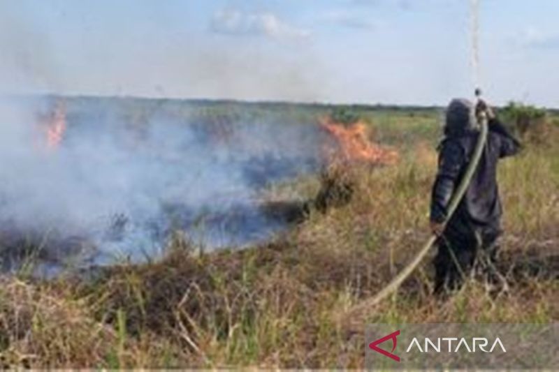 Kebakaran Hutan Landasi Tujuh Desa di Hulu Sungai Selatan