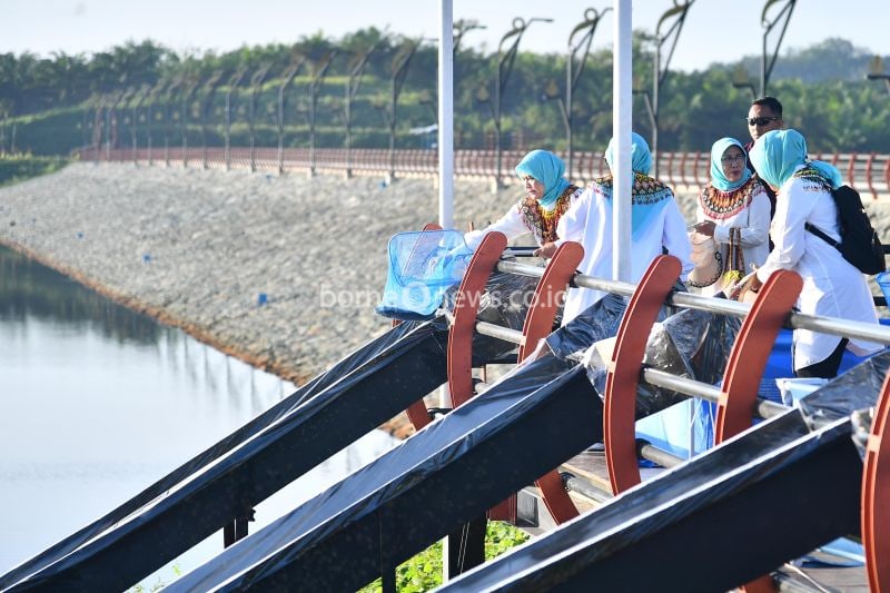 Iriana Joko Widodo Lepas Benih Ikan dalam Kunjungan ke Bendungan Sepaku Semoi